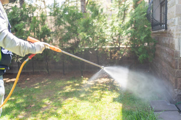 Best Pest Removal Services  in Wekiwa Springs, FL